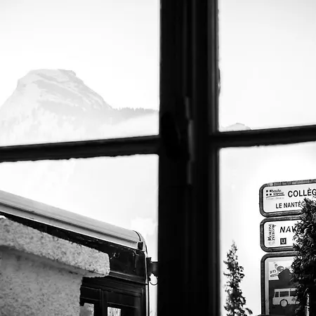 Hotel Nant *